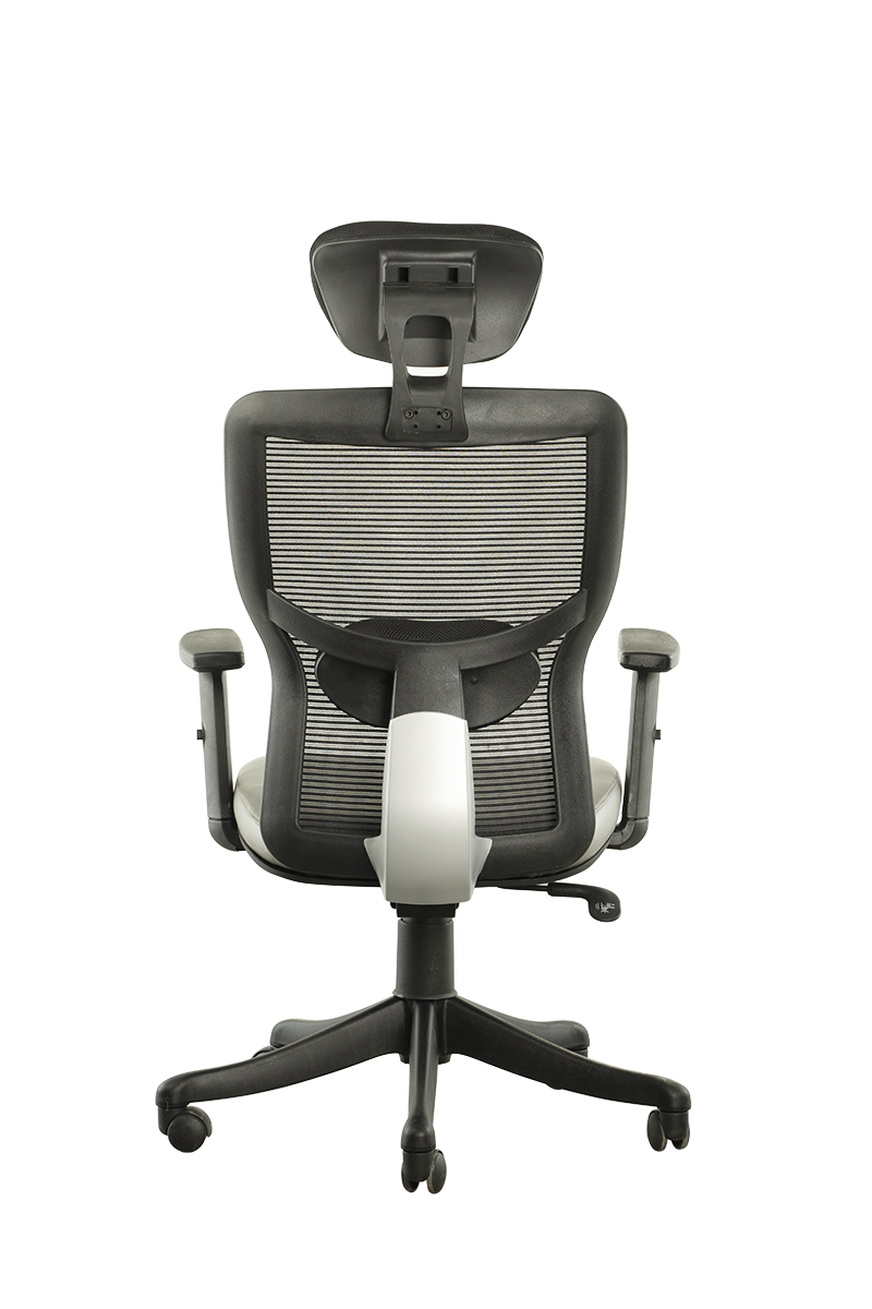 FINSS Office Chair, High Back Mesh Ergonomic Home Office Desk Chair with Adjustable 1D Armrest & Lumbar Support, Multi lock Mechanism, Heavy Nylon Base & wheels (Black)…