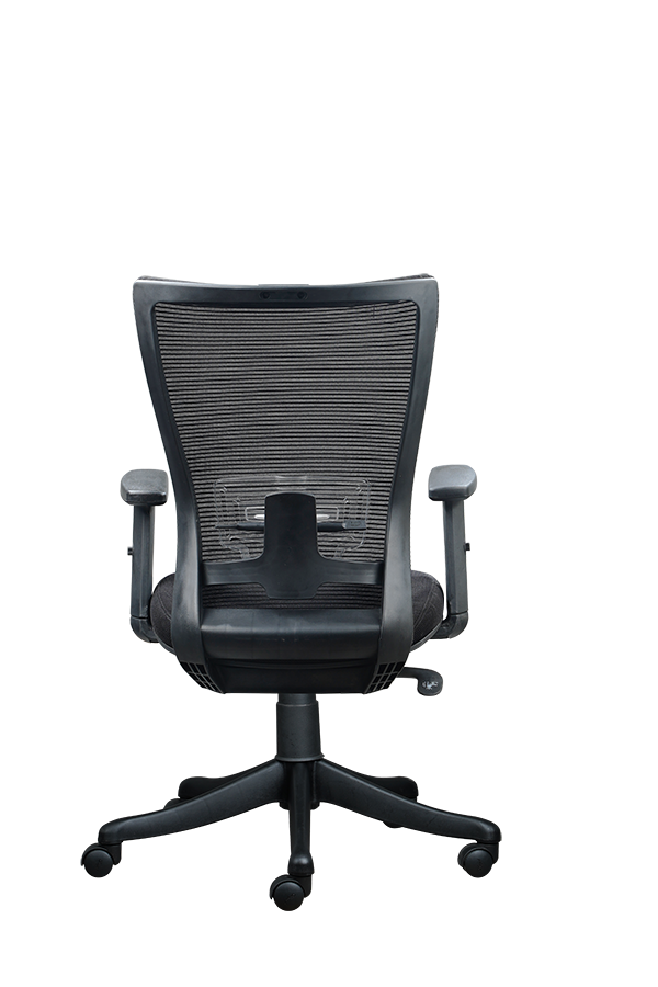 FINSS Office Chair, Ergonomic Medium Back Mesh Ergonomic Home Office Desk Chair with 1D Adjustable Armrest & Lumbar Support, Upright position lock Mechanism, Heavy Nylon Base & wheels (Black)