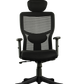 FINSS Office Chair, High Back Mesh Ergonomic Home Office Desk Chair with Adjustable 1D Armrest &  Lumbar Support, Multi lock Mechanism, Heavy Nylon Base & wheels (Black)…