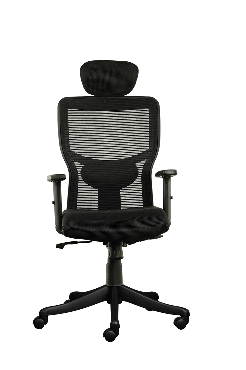 FINSS Office Chair, High Back Mesh Ergonomic Home Office Desk Chair with Adjustable 1D Armrest &  Lumbar Support, Multi lock Mechanism, Heavy Nylon Base & wheels (Black)…