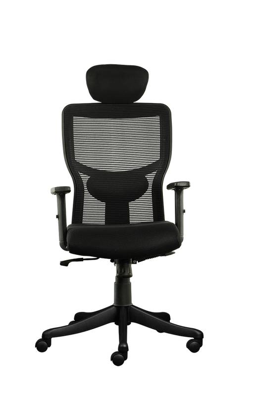 FINSS Office Chair, High Back Mesh Ergonomic Home Office Desk Chair with Adjustable 1D Armrest &  Lumbar Support, Multi lock Mechanism, Heavy Nylon Base & wheels (Black)…