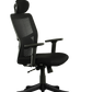 FINSS Office Chair, High Back Mesh Ergonomic Home Office Desk Chair with Adjustable 1D Armrest &  Lumbar Support, Multi lock Mechanism, Heavy Nylon Base & wheels (Black)…