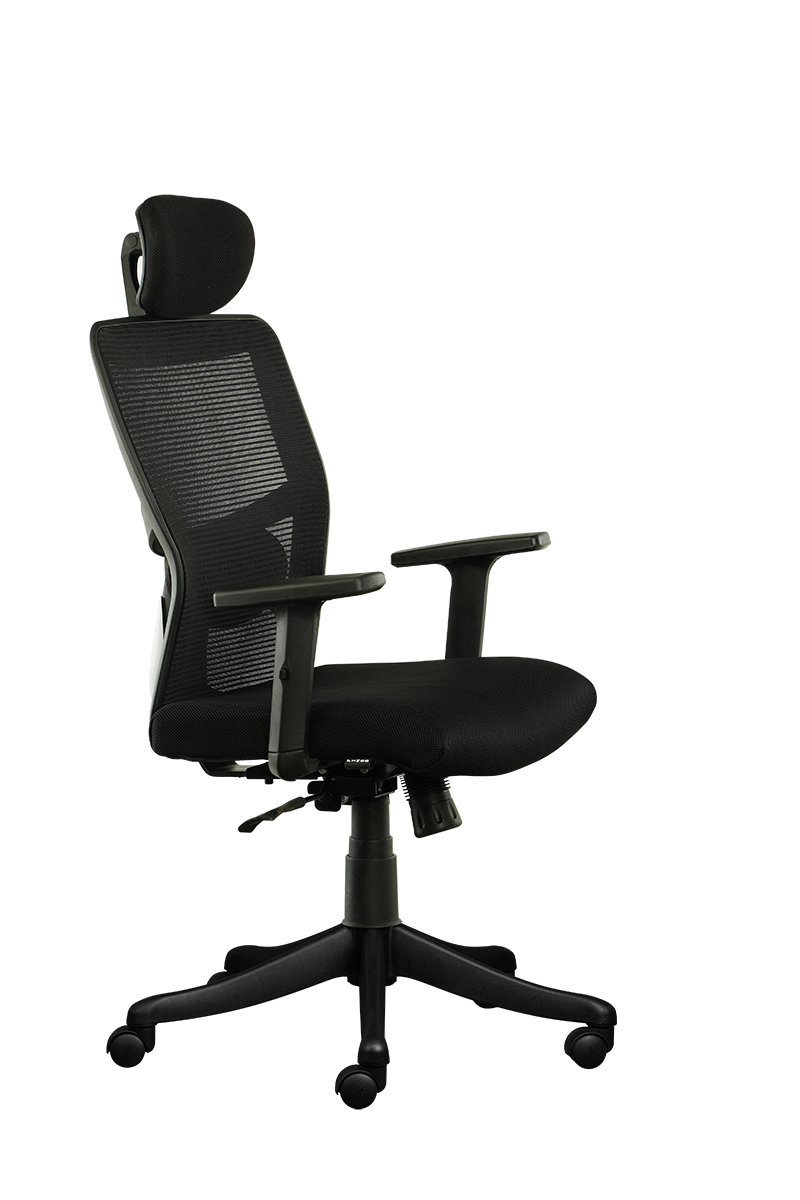 FINSS Office Chair, High Back Mesh Ergonomic Home Office Desk Chair with Adjustable 1D Armrest &  Lumbar Support, Multi lock Mechanism, Heavy Nylon Base & wheels (Black)…
