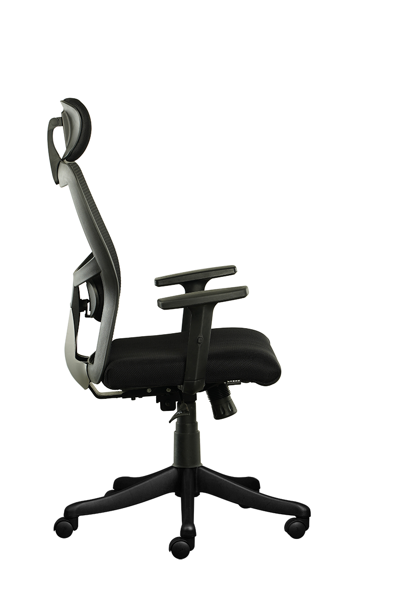 FINSS Office Chair, High Back Mesh Ergonomic Home Office Desk Chair with Adjustable 1D Armrest &  Lumbar Support, Multi lock Mechanism, Heavy Nylon Base & wheels (Black)…
