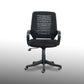 Revolving Chair