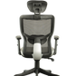 FINSS Office Chair, High Back Mesh Ergonomic Home Office Desk Chair with Adjustable 1D Armrest &  Lumbar Support, Multi lock Mechanism, Heavy Nylon Base & wheels (Black)…