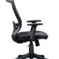 FINSS Office Chair, Ergonomic Medium Back Mesh Ergonomic Home Office Desk Chair with 1D Adjustable Armrest  &  Lumbar Support, Upright position lock Mechanism, Heavy Nylon Base & wheels (Black)