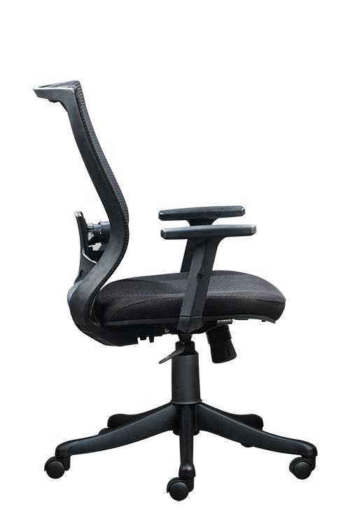 FINSS Office Chair, Ergonomic Medium Back Mesh Ergonomic Home Office Desk Chair with 1D Adjustable Armrest  &  Lumbar Support, Upright position lock Mechanism, Heavy Nylon Base & wheels (Black)