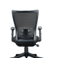 FINSS Office Chair, Ergonomic Medium Back Mesh Ergonomic Home Office Desk Chair with 1D Adjustable Armrest  &  Lumbar Support, Upright position lock Mechanism, Heavy Nylon Base & wheels (Black)