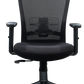 FINSS Office Chair, Ergonomic Medium Back Mesh Ergonomic Home Office Desk Chair with 1D Adjustable Armrest  &  Lumbar Support, Upright position lock Mechanism, Heavy Nylon Base & wheels (Black)