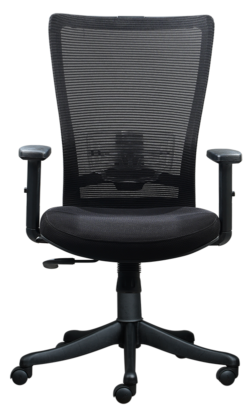 FINSS Office Chair, Ergonomic Medium Back Mesh Ergonomic Home Office Desk Chair with 1D Adjustable Armrest  &  Lumbar Support, Upright position lock Mechanism, Heavy Nylon Base & wheels (Black)