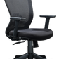 FINSS Office Chair, Ergonomic Medium Back Mesh Ergonomic Home Office Desk Chair with 1D Adjustable Armrest  &  Lumbar Support, Upright position lock Mechanism, Heavy Nylon Base & wheels (Black)